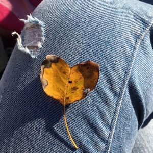 Meet your Posher, Judith